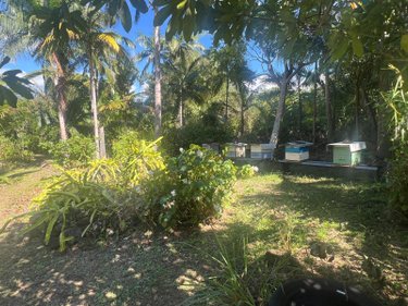 Terrain a batir a vendre Saint-Benoît 97470 Réunion 765 m2  225000 euros