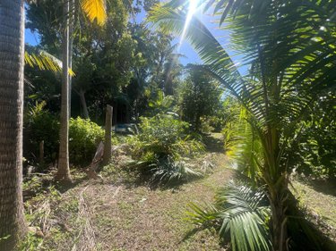 Terrain a batir a vendre Saint-Benoît 97470 Réunion 765 m2  225000 euros