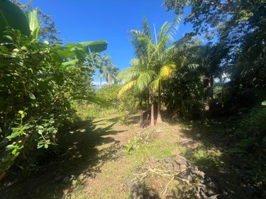 Terrain a batir a vendre Saint-Benoît 97470 Réunion 624 m2  185000 euros