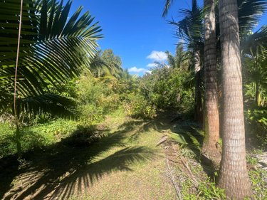 Terrain a batir a vendre Saint-Benoît 97470 Réunion 624 m2  185000 euros