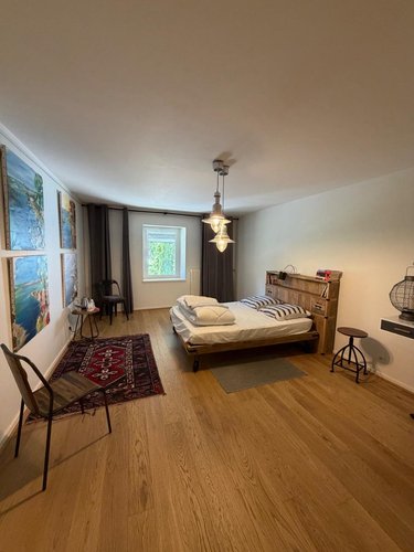 propriete a vendre Ceyzérieu 01350 Ain 460 m2  1200000 euros