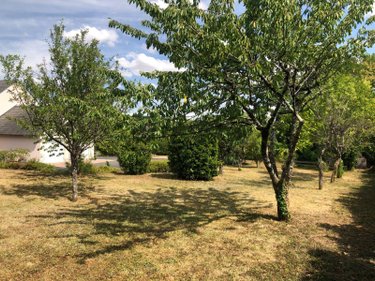 Maison a vendre Issoudun 36100 Indre 157 m2 6 pièces 267240 euros