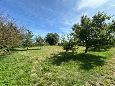 Maison a vendre Bourbourg 59630 Nord 148 m2 6 pièces 343200 euros