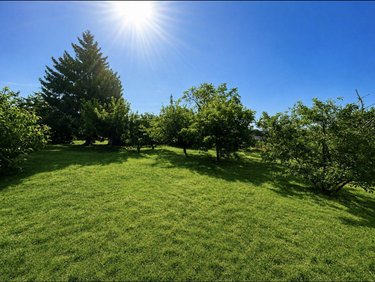 Terrains de loisirs bois etangs a vendre Allonnes 72700 Sarthe 807 m2  62640 euros