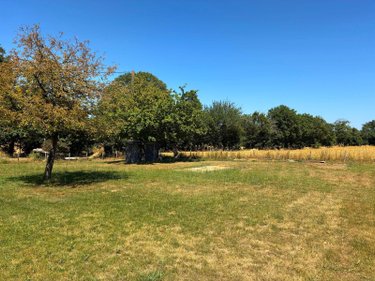 Terrain a batir a vendre La Chapelle Bouëxic 35330 Ille-et-Vilaine 746 m2  68250 euros