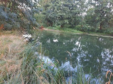 Terrains de loisirs bois etangs a vendre Le Tranger 36700 Indre 20542 m2  21400 euros