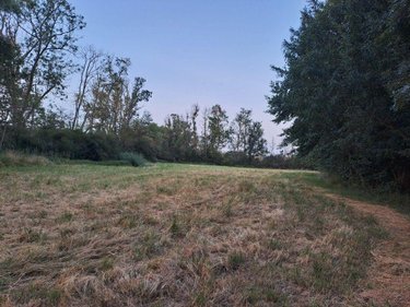 Terrains de loisirs bois etangs a vendre Le Tranger 36700 Indre 20542 m2  21400 euros
