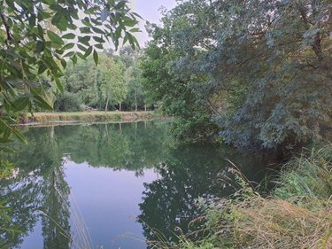 Terrains de loisirs bois etangs a vendre Le Tranger 36700 Indre 20542 m2  21400 euros