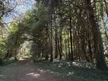 Maison a vendre Ytrac 15000 Cantal 287 m2 5 pièces 296800 euros