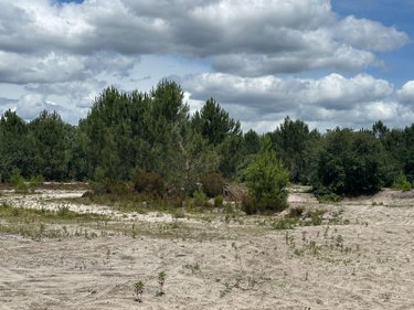 Terrain a batir a vendre Mios 33380 Gironde 70557 m2  1560000 euros