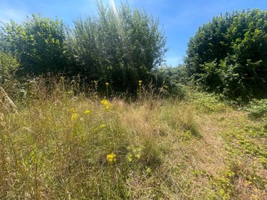 Maison a vendre Ambrières-les-Vallées 53300 Mayenne 75 m2 3 pièces 42400 euros