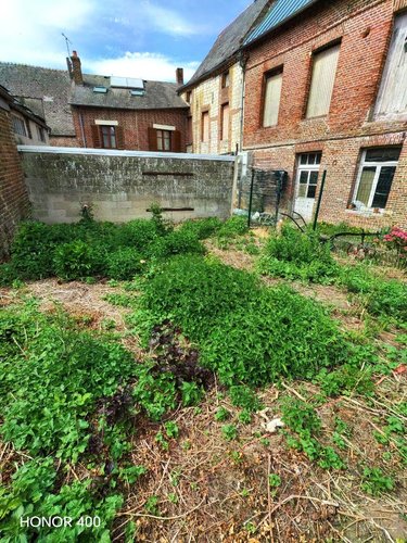 Location maison Marle 02250 Aisne 78 m2 4 pièces 625 euros