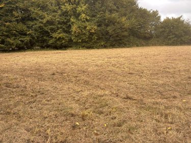 Terrain a batir a vendre Machy 80150 Somme 8578 m2  42500 euros