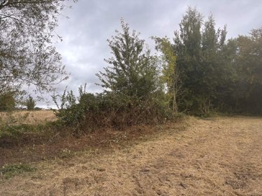 Terrain a batir a vendre Machy 80150 Somme 8578 m2  42500 euros