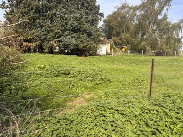 Terrain a batir a vendre Dominois 80120 Somme 2490 m2  49500 euros