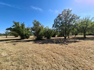 Maison a vendre Salignac-Eyvigues 24590 Dordogne 141 m2 5 pièces 347000 euros