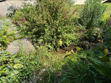 Maison a vendre Edern 29510 Finistère 100 m2 8 pièces 230600 euros