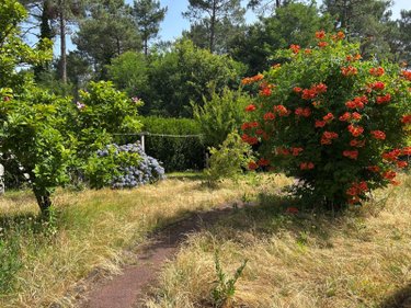 Maison a vendre Saint-Vincent-de-Tyrosse 40230 Landes 74 m2 3 pièces 241500 euros