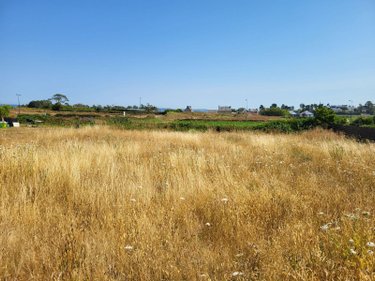 Terrain a batir a vendre Roscoff 29680 Finistère 1040 m2  218240 euros