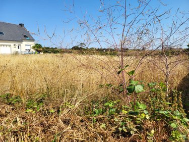 Terrain a batir a vendre Roscoff 29680 Finistère 1040 m2  218240 euros