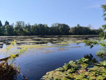 Terrains de loisirs bois etangs a vendre Chauvigny 86300 Vienne 472 m2  3800 euros