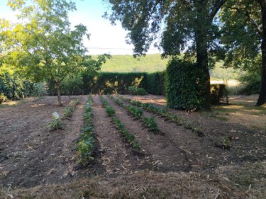 Terrains de loisirs bois etangs a vendre Chauvigny 86300 Vienne 472 m2  3800 euros