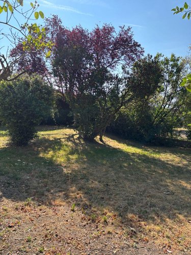 Maison a vendre Neufchâtel-en-Saosnois 72600 Sarthe 90 m2 5 pièces 110775 euros