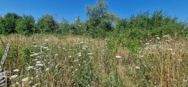 Maison a vendre Louhans Châteaurenaud 71500 Saône-et-Loire 80 m2 3 pièces 69000 euros