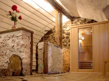 propriete a vendre Saint-Cirgues-de-Jordanne 15590 Cantal 504 m2 18 pièces 676000 euros