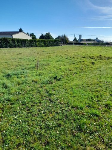 Terrain a batir a vendre Saint-Jean-de-Sauves 86330 Vienne 1500 m2  16000 euros