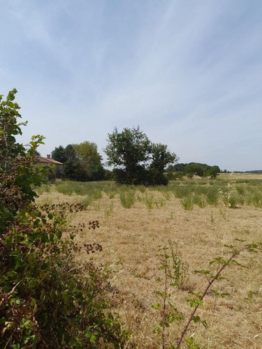 Terrain a batir a vendre Frontenay-sur-Dive 86330 Vienne 2100 m2  11500 euros