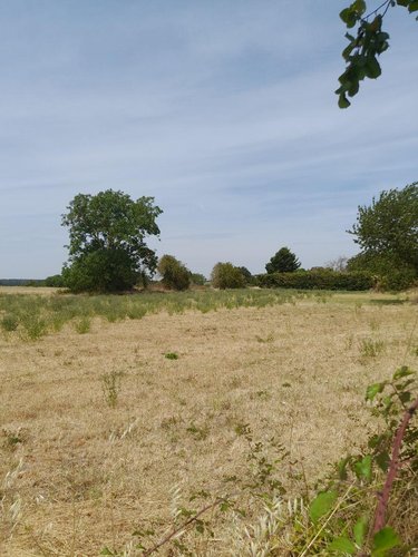 Terrain a batir a vendre Frontenay-sur-Dive 86330 Vienne 3372 m2  17655 euros