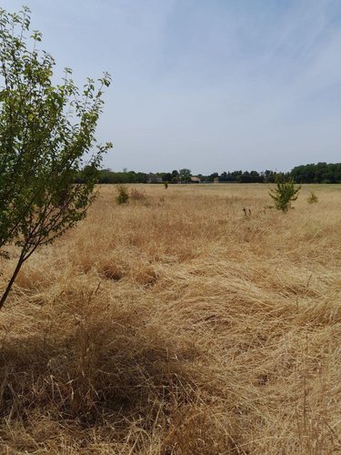 Terrain a batir a vendre Saint-Jean-de-Sauves 86330 Vienne 2000 m2  13000 euros