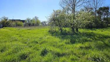 Terrain a batir a vendre Brandonvillers 51290 Marne 5086 m2  28000 euros