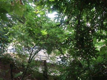 Maison a vendre Rennes 35000 Ille-et-Vilaine 137 m2 6 pièces 855000 euros