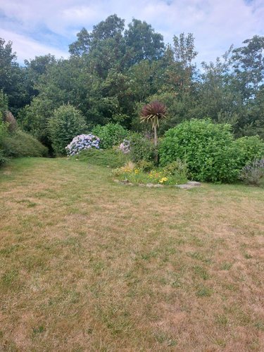 Maison a vendre Ploudalmézeau 29830 Finistère 135 m2 5 pièces 509600 euros