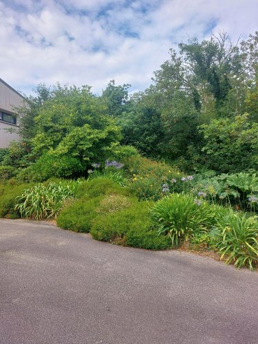Maison a vendre Ploudalmézeau 29830 Finistère 135 m2 5 pièces 509600 euros