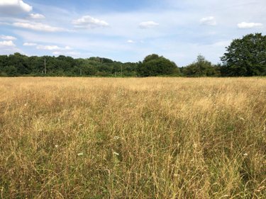 Bien agricole a vendre Beaufay 72110 Sarthe  17604 euros