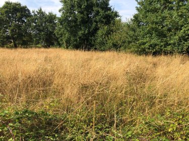 Bien agricole a vendre Beaufay 72110 Sarthe  17604 euros