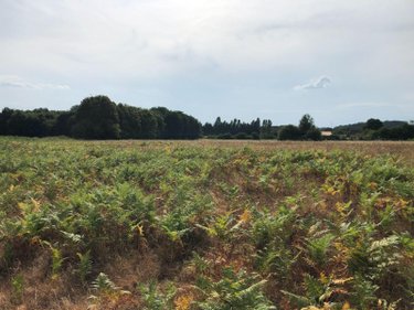 Bien agricole a vendre Beaufay 72110 Sarthe  17604 euros