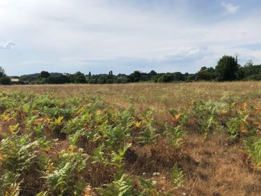 Bien agricole a vendre Beaufay 72110 Sarthe  17604 euros