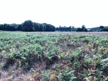Bien agricole a vendre Beaufay 72110 Sarthe  17604 euros