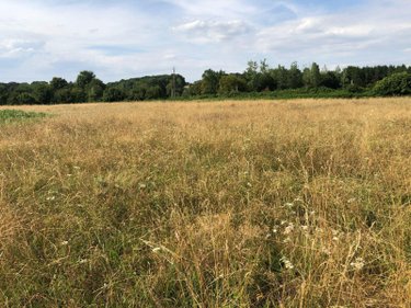 Bien agricole a vendre Beaufay 72110 Sarthe  17604 euros
