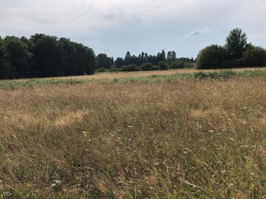 Bien agricole a vendre Beaufay 72110 Sarthe  17604 euros