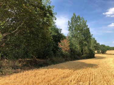 Bien agricole a vendre Beaufay 72110 Sarthe  14200 euros