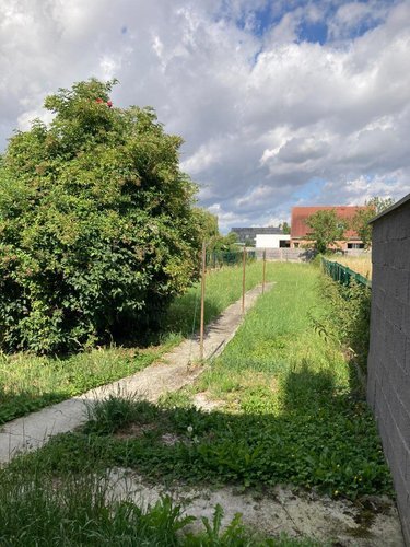 Location maison Merville 59660 Nord 73 m2  780 euros
