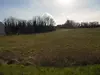 Vignette photo du bien