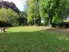 Vignette photo du bien