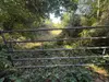 Bulle photo