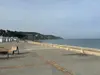 Vignette photo du bien